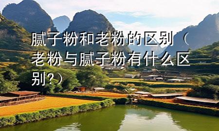 膩?zhàn)臃酆屠戏鄣膮^(qū)別（老粉與膩?zhàn)臃塾惺裁磪^(qū)別?）