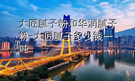 大匠膩?zhàn)臃酆腿A潤膩?zhàn)臃?大匠膩?zhàn)佣嗌馘X一噸