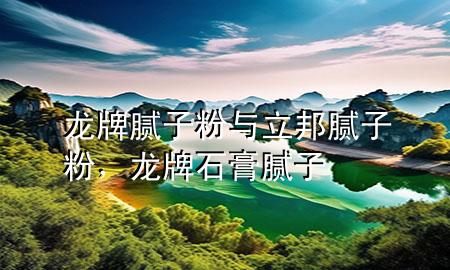 龍牌膩子粉與立邦膩子粉，龍牌石膏膩子