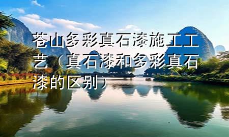 蒼山多彩真石漆施工工藝（真石漆和多彩真石漆的區(qū)別）