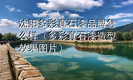 沈陽多彩真石漆品牌怎么樣（多彩真石漆造型效果圖片）