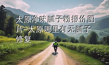 太原凈味膩子粉報價圖片-太原哪里有無膩子修復