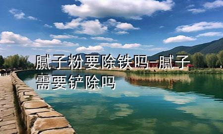 膩子粉要除鐵嗎-膩子需要鏟除嗎