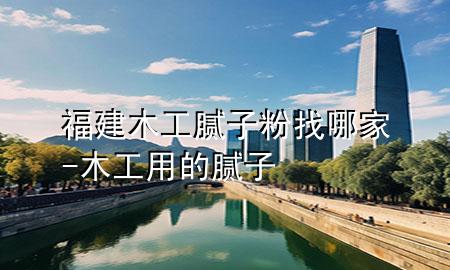 福建木工膩子粉找哪家-木工用的膩子