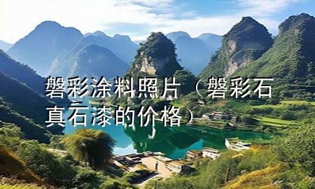 磐彩涂料照片（磐彩石真石漆的價(jià)格）