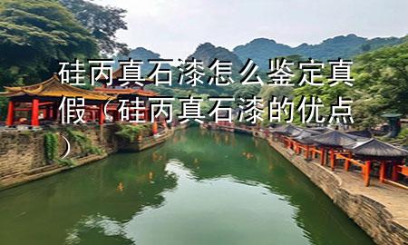 硅丙真石漆怎么鑒定真假（硅丙真石漆的優(yōu)點(diǎn)）