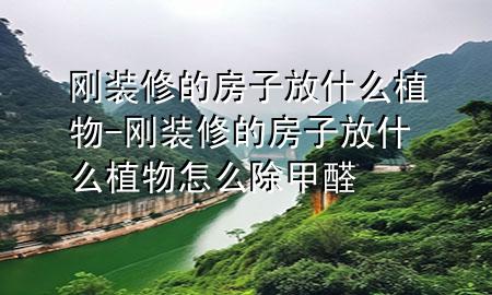 剛裝修的房子放什么植物-剛裝修的房子放什么植物怎么除甲醛