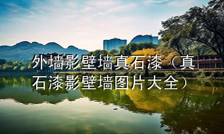 外墻影壁墻真石漆（真石漆影壁墻圖片大全）