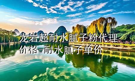 龍巖超耐水膩子粉代理價格-耐水膩子單價