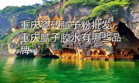 重慶瓷磚膩子粉批發(fā)，重慶膩子膠水有哪些品牌