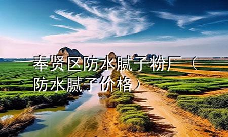 奉賢區(qū)防水膩?zhàn)臃蹚S（防水膩?zhàn)觾r(jià)格）