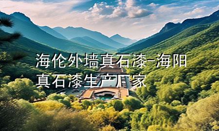 海倫外墻真石漆-海陽真石漆生產(chǎn)廠家