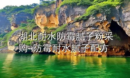 湖北耐水防霉膩子粉采購-防霉耐水膩子配方