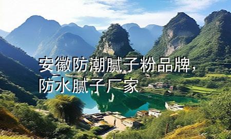 安徽防潮膩子粉品牌，防水膩子廠家