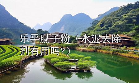 樂(lè)平膩?zhàn)臃郏ㄋ嗳コ齽┯杏脝?）