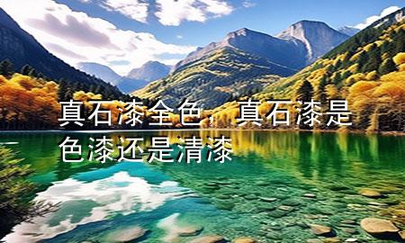 真石漆全色，真石漆是色漆還是清漆