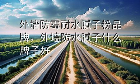 外墻防霉耐水膩子粉品牌，外墻防水膩子什么牌子好