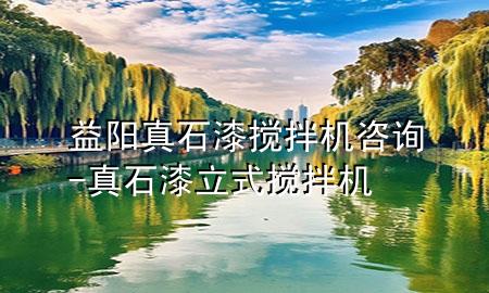 益陽真石漆攪拌機(jī)咨詢-真石漆立式攪拌機(jī)