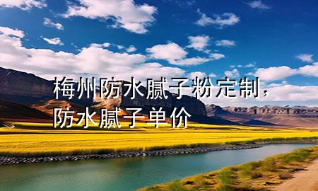梅州防水膩?zhàn)臃鄱ㄖ疲浪佔(zhàn)訂蝺r