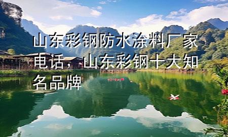 山東彩鋼防水涂料廠家電話，山東彩鋼十大知名品牌