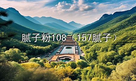 膩子粉 108（157膩子）