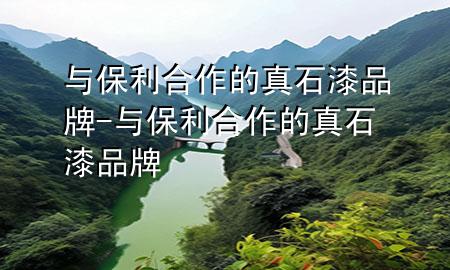 與保利合作的真石漆品牌-與保利合作的真石漆品牌
