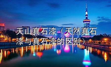 天山真石漆（天然真石漆與真石漆的區(qū)別）