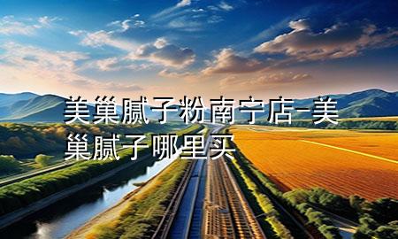 美巢膩子粉南寧店-美巢膩子哪里買