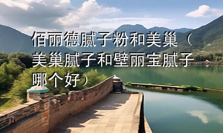 佰麗德膩子粉和美巢（美巢膩子和壁麗寶膩子哪個好）