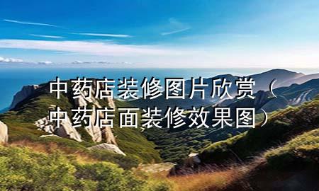 中藥店裝修圖片欣賞（中藥店面裝修效果圖）