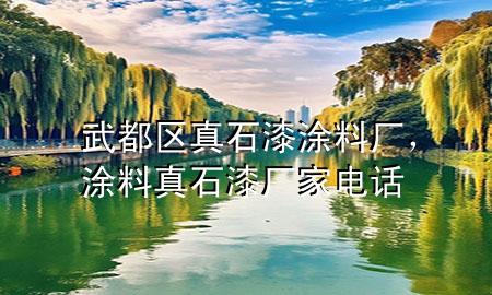 武都區(qū)真石漆涂料廠，涂料真石漆廠家電話