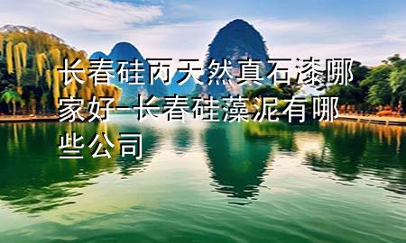 長(zhǎng)春硅丙天然真石漆哪家好-長(zhǎng)春硅藻泥有哪些公司