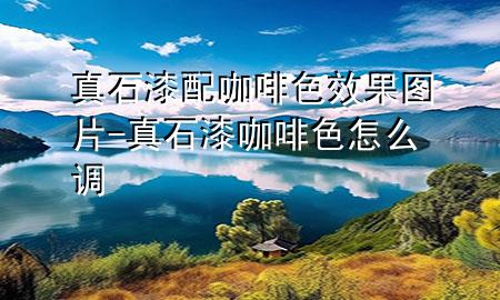 真石漆配咖啡色效果圖片-真石漆咖啡色怎么調(diào)