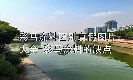 彩馬涂料區(qū)別真假圖片大全-彩馬涂料的缺點