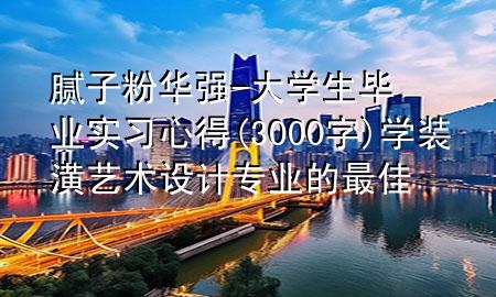 膩子粉華強-大學生畢業(yè)實習心得(3000字)學裝潢藝術設計專業(yè)的最佳