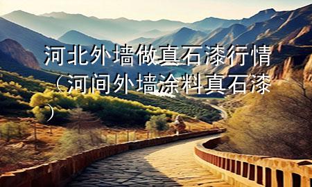 河北外墻做真石漆行情（河間外墻涂料真石漆）