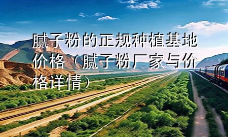 膩?zhàn)臃鄣恼?guī)種植基地價(jià)格（膩?zhàn)臃蹚S家與價(jià)格詳情）