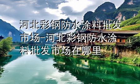 河北彩鋼防水涂料批發(fā)市場(chǎng)-河北彩鋼防水涂料批發(fā)市場(chǎng)在哪里