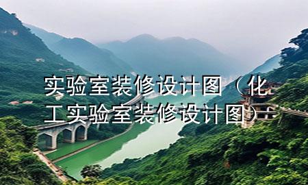 實驗室裝修設(shè)計圖（化工實驗室裝修設(shè)計圖）