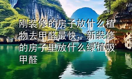 剛裝修的房子放什么植物去甲醛最快，新裝修的房子里放什么綠植吸甲醛