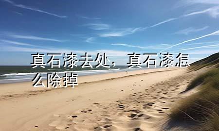 真石漆去處，真石漆怎么除掉