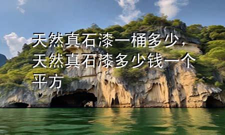 天然真石漆一桶多少，天然真石漆多少錢一個(gè)平方