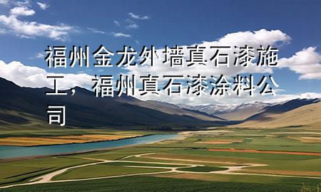 福州金龍外墻真石漆施工，福州真石漆涂料公司