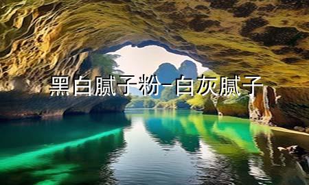 黑白膩子粉-白灰 膩子