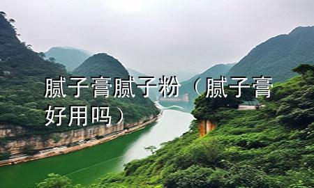 膩子膏膩子粉（膩子膏好用嗎）