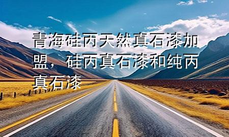 青海硅丙天然真石漆加盟，硅丙真石漆和純丙真石漆