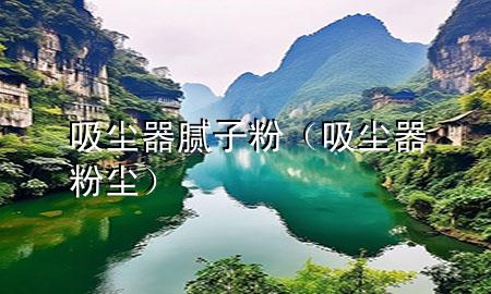 吸塵器 膩子粉（吸塵器 粉塵）