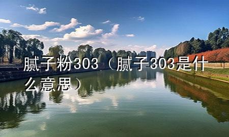 膩子粉303（膩子303是什么意思）