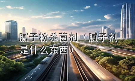 膩子粉殺菌劑（膩子劑是什么東西）