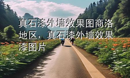 真石漆外墻效果圖商洛地區(qū)，真石漆外墻效果漆圖片